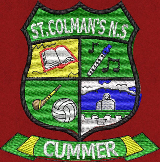 St. Colmans N.S Cummer