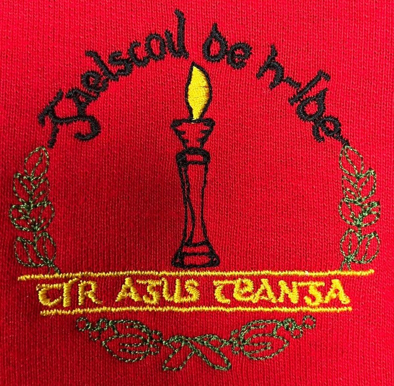 Gaelscoil De h-Íde
