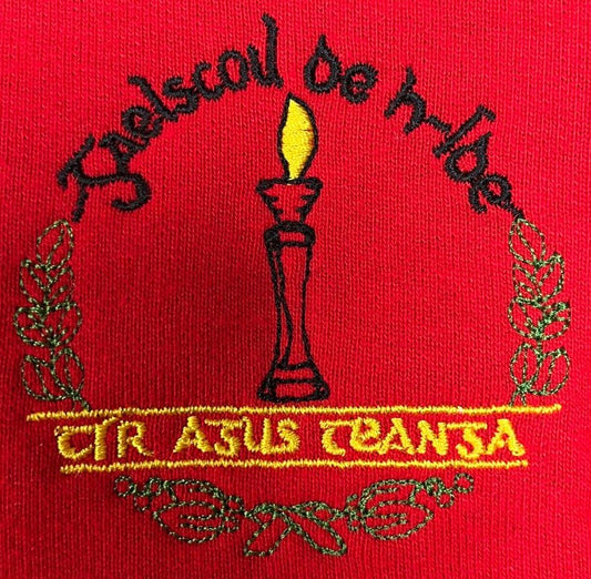 Gaelscoil De h-Íde