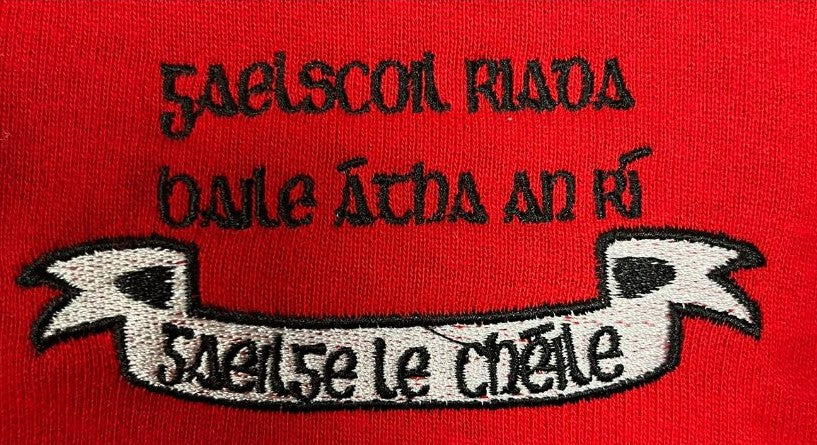 Gaelscoil Riada