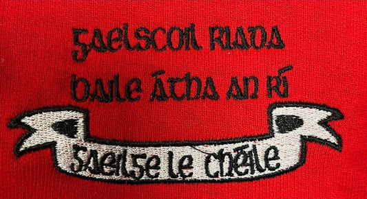 Gaelscoil Riada