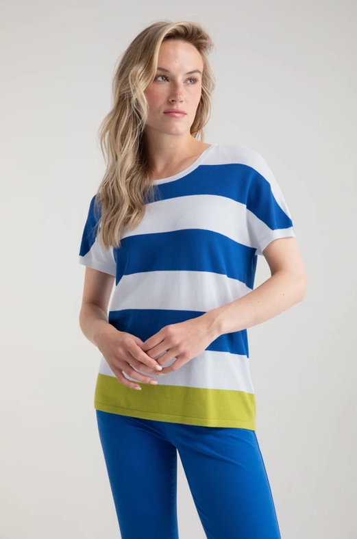 Blue Stripe Top