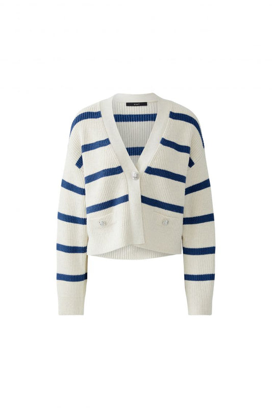 Blue Stripe Cardigan