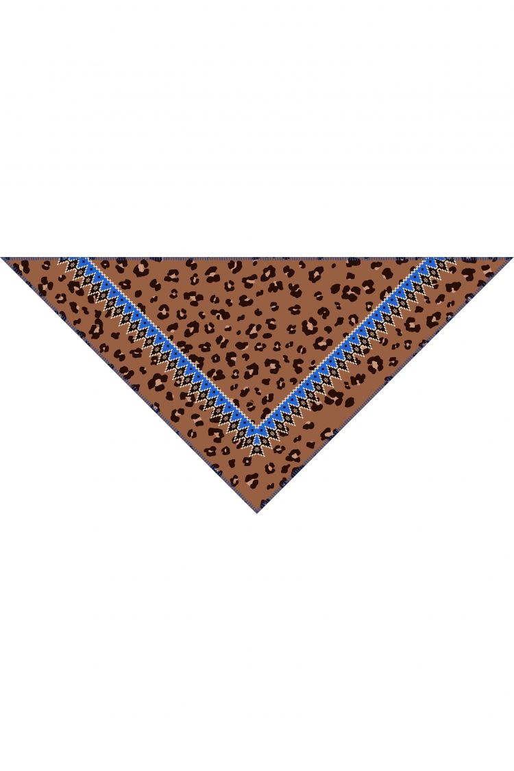 Print Triangle Scarf