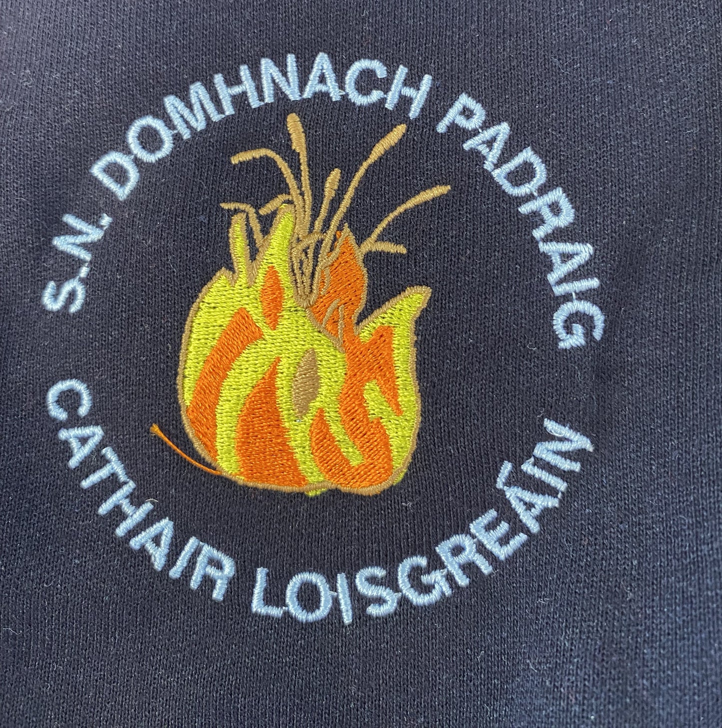Donaghpatrick N.S Caherlistrane