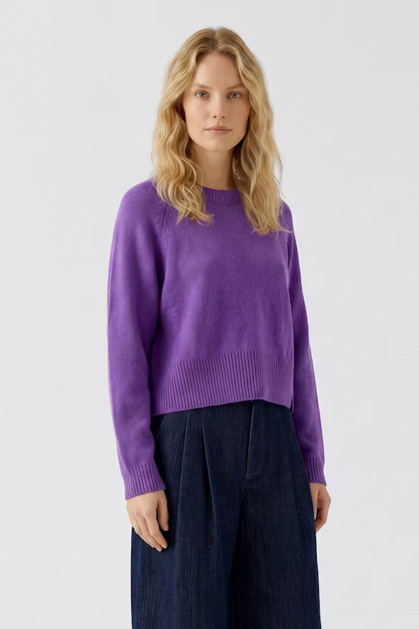 A woman with blonde hair wearing a purple knit crewneck sweater and dark wide-leg trousers, standing against a light gray studio background.