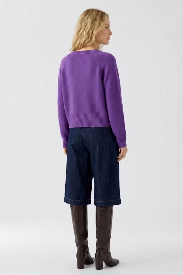 Woman wearing a purple sweater and dark blue pants on a white background